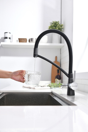 Смеситель для кухни Paulmark SIEGEN Si213111-BLM на мойку черный